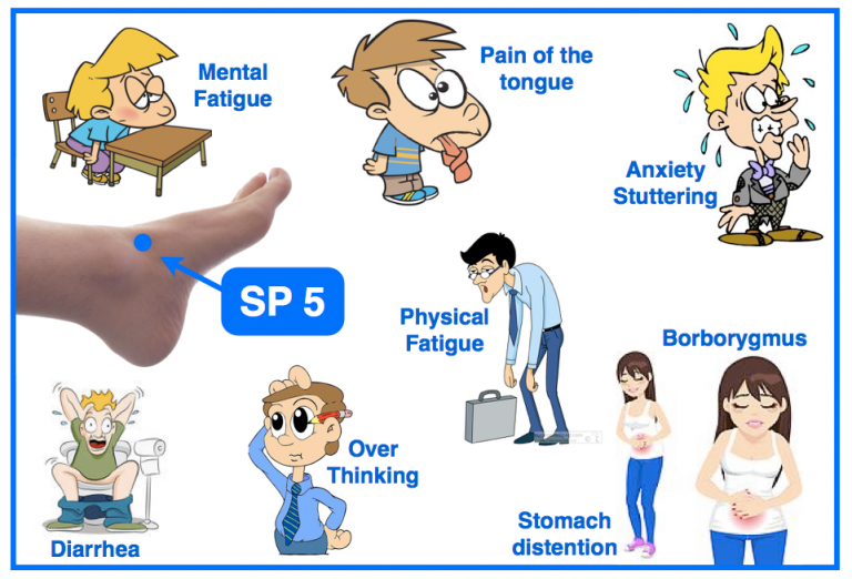 SP-5-acupuncture-point-768x522