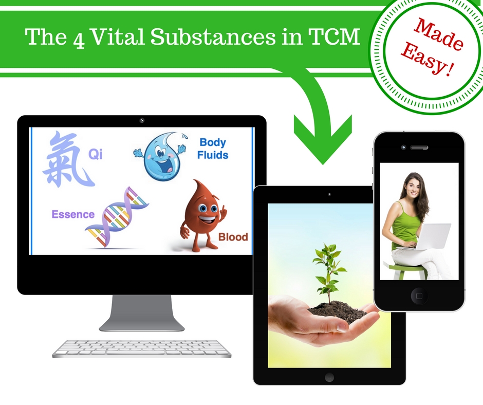 4-vital-substances-in-tcm