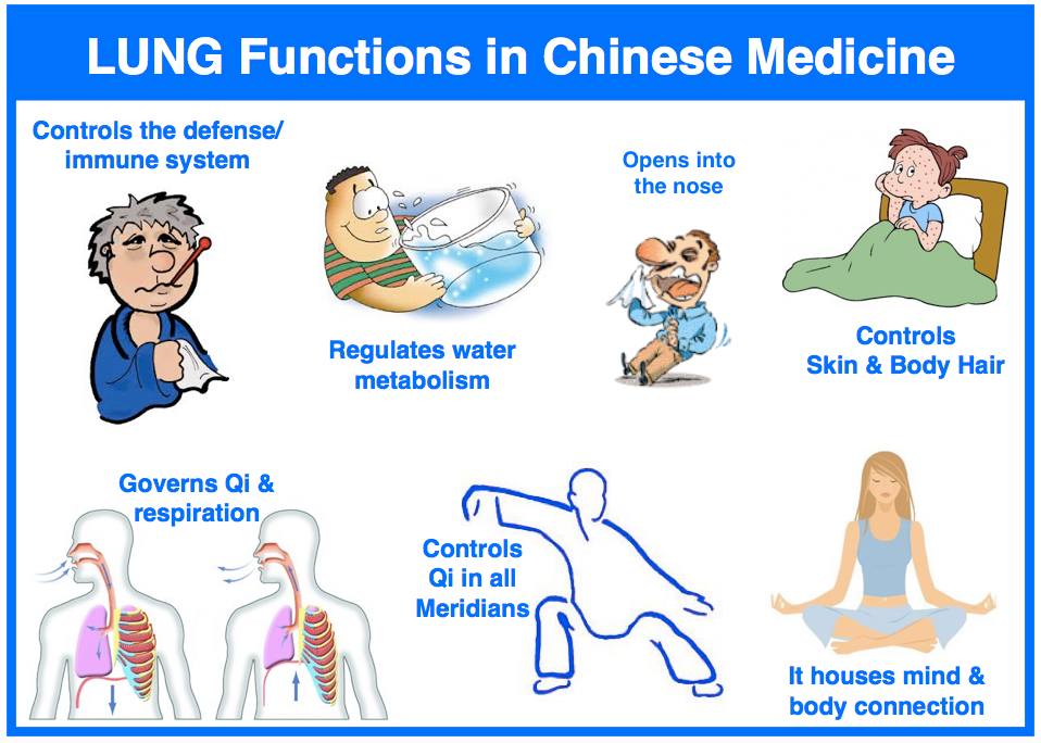 lung-function-in-tcm