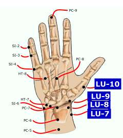 hand_palmbones_points2_lu